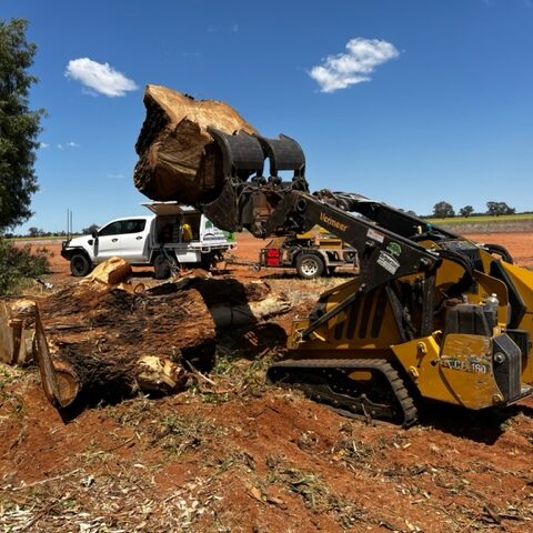 A bulldozer is being used to cut down a tree.
